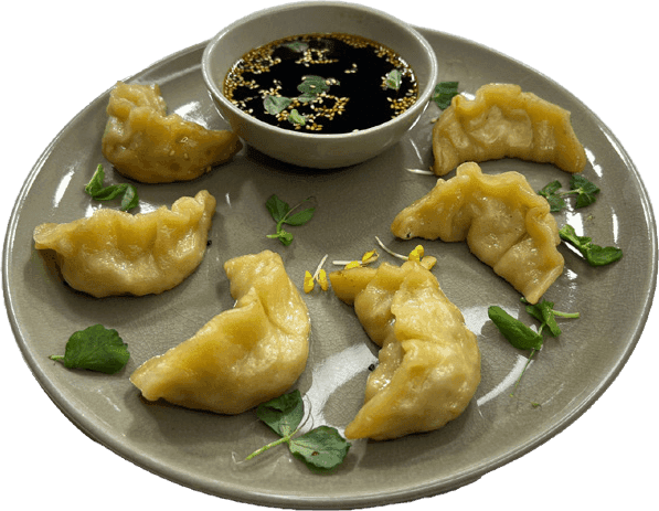 Gyoza
