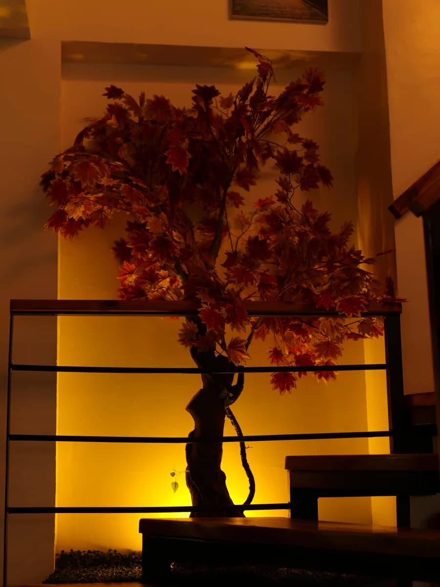 Décor Hayasushi